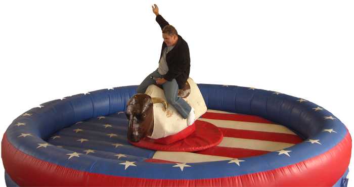 Image result for mechanical bull ride